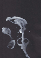http://www.actionaqua.com/files/gimgs/th-111_glashaus 13_v2.jpg